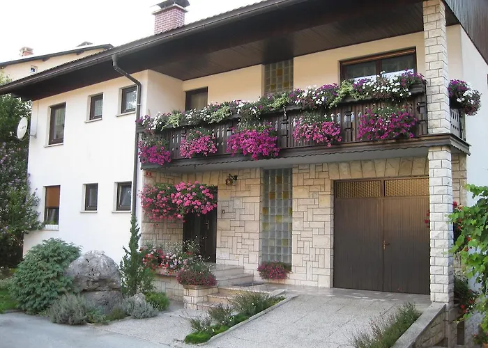 Apartment Zvab